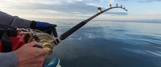 Follow These Hacks For Your Next Fishing Trip